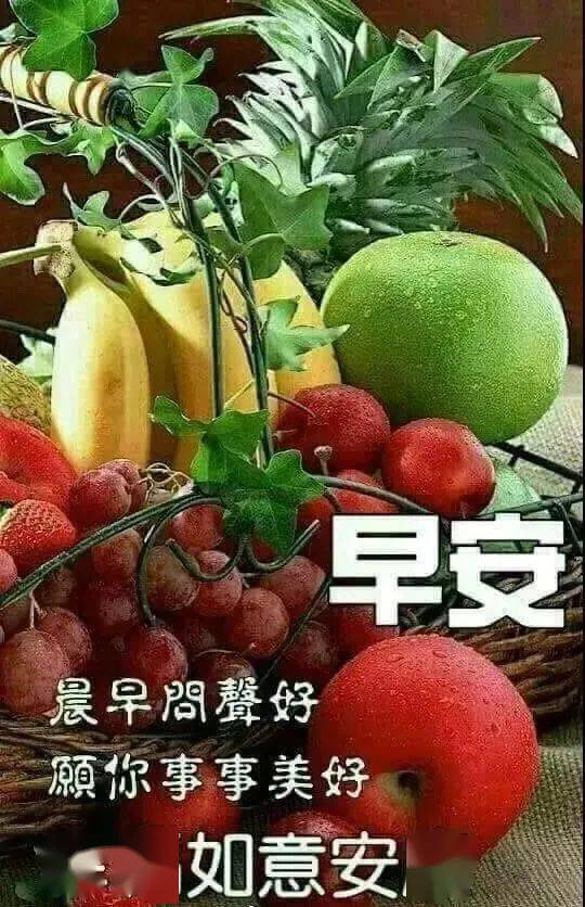 微信群最美丽早上好动态图片带文字 新版早晨好的问候动态表情图片