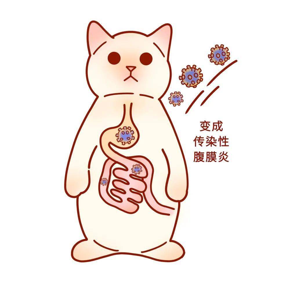 肠胃猫 头像图片