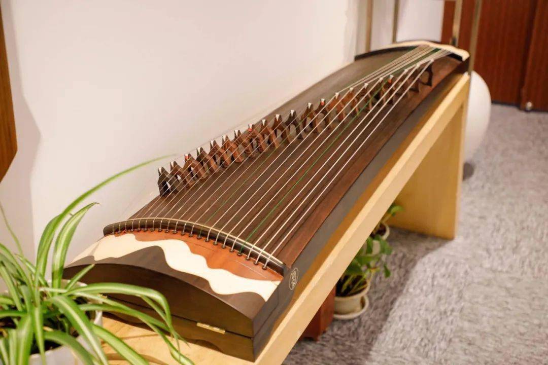 新的一年新的篇章开启新筝程