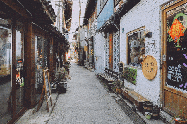 乐游撑着油纸伞在长三角示范区这些古镇弄堂走一走