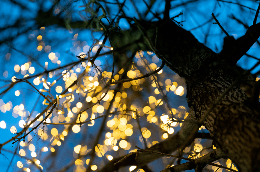 披着微单外衣的视频怪兽索尼a7s3