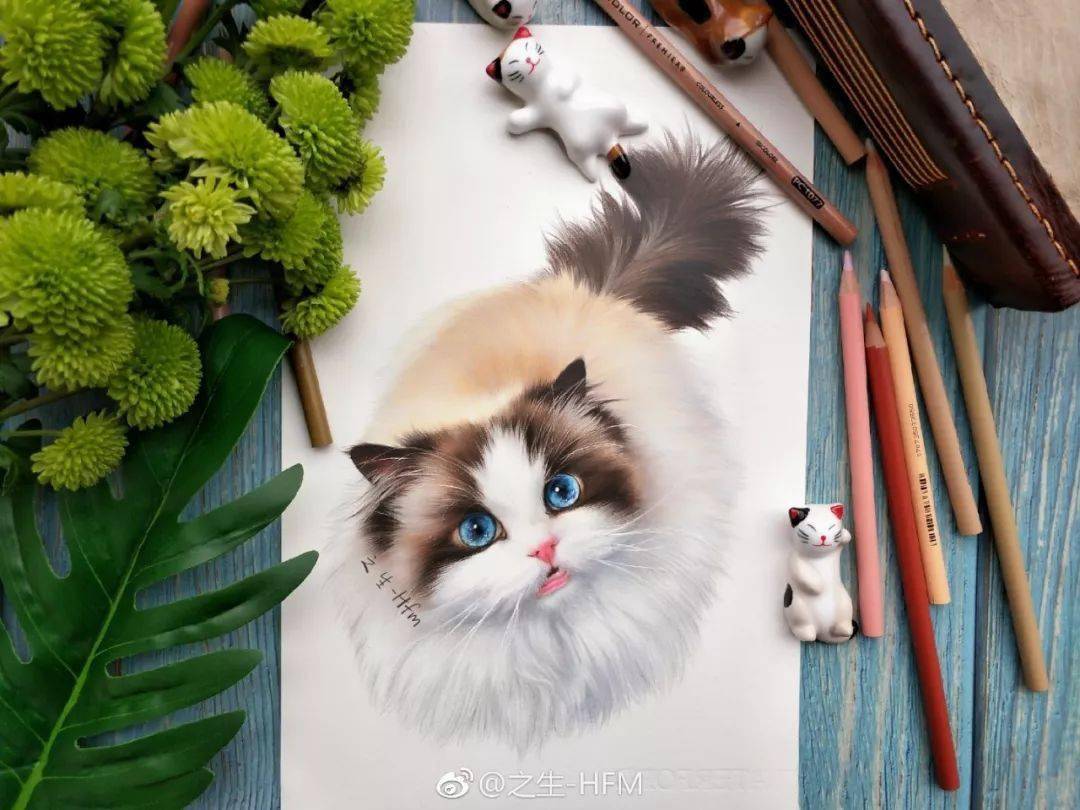 彩铅动物毛发画法萌萌的彩铅猫绘画步骤图