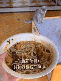 无止境的探索精神,频繁以身试险(激情嗦粉),开发全新的味觉领域…但是