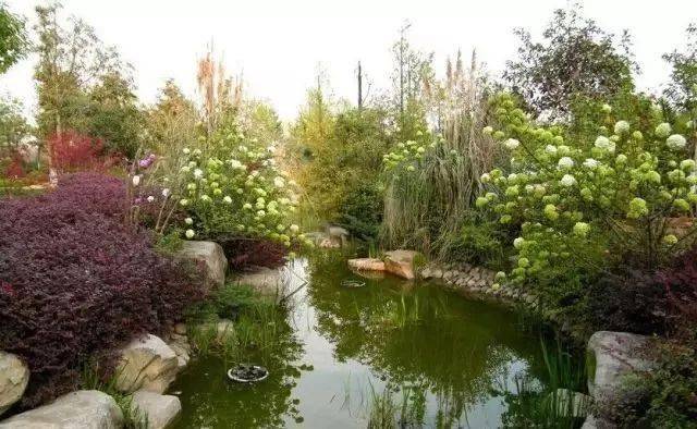 溪流水岸宜采用散石和块石,并与水生或湿地植物的配置相结合,减少人工