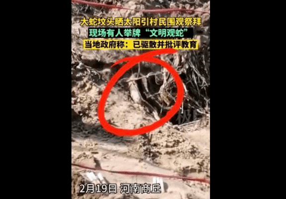 宁陵县有多少人口_宁陵县人民医院(2)