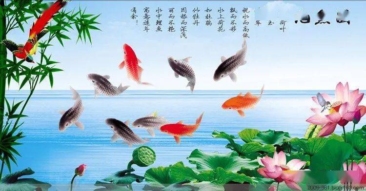 富貴九魚圖祝您年年有餘