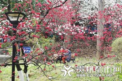 贵阳河滨公园有个相亲角