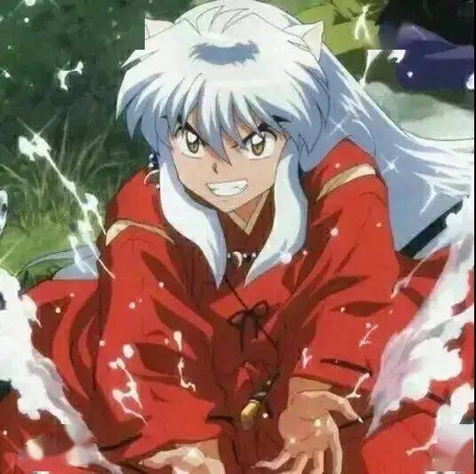 动漫头像壁纸犬夜叉