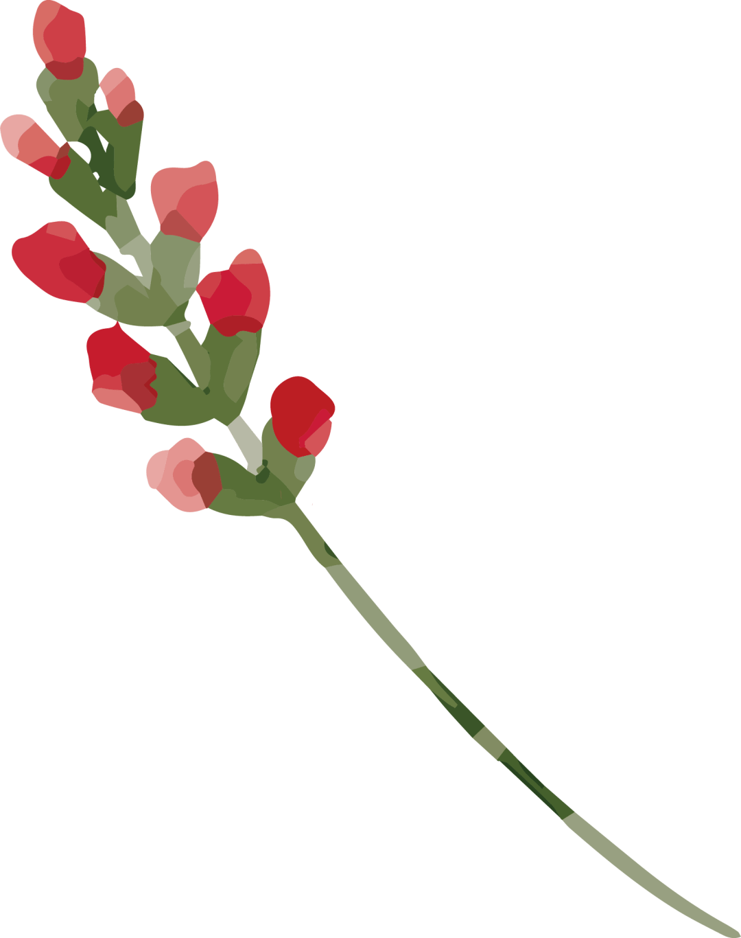 一文看懂月月收息的固定票息股票挂钩票据FCN_搜狐网