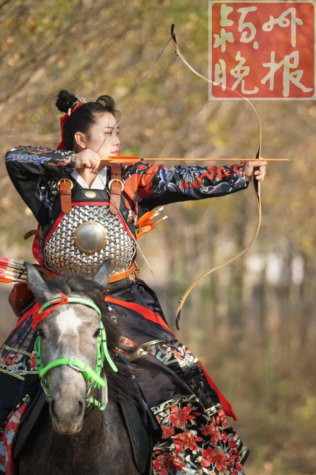 帅!临泉侠女跨上烈马,挽弓,放箭!_射箭