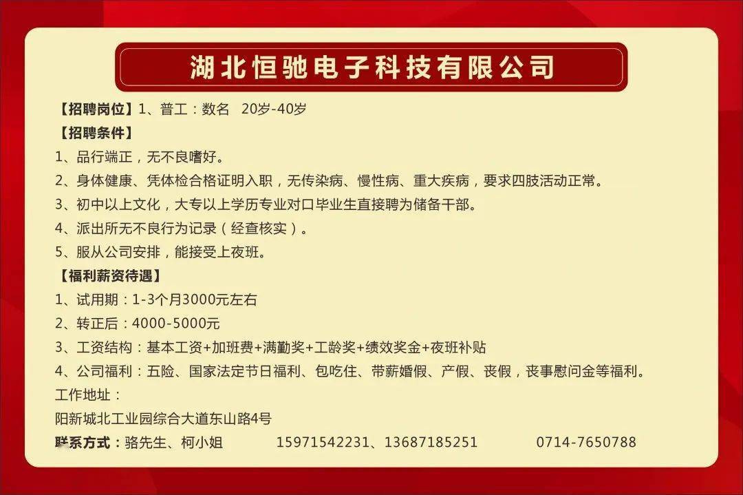 阳新招聘网_2019阳新高校毕业生就业服务行动暨服务县内重点企业用工招聘夜市活动圆满落幕(4)