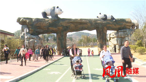 凤凰：中华大熊猫苑迎来错峰出游高潮 