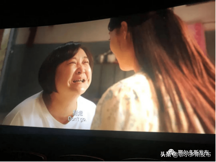 你好鄂尔多斯李焕英