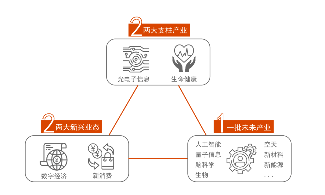 19年东湖高新区gdp(2)