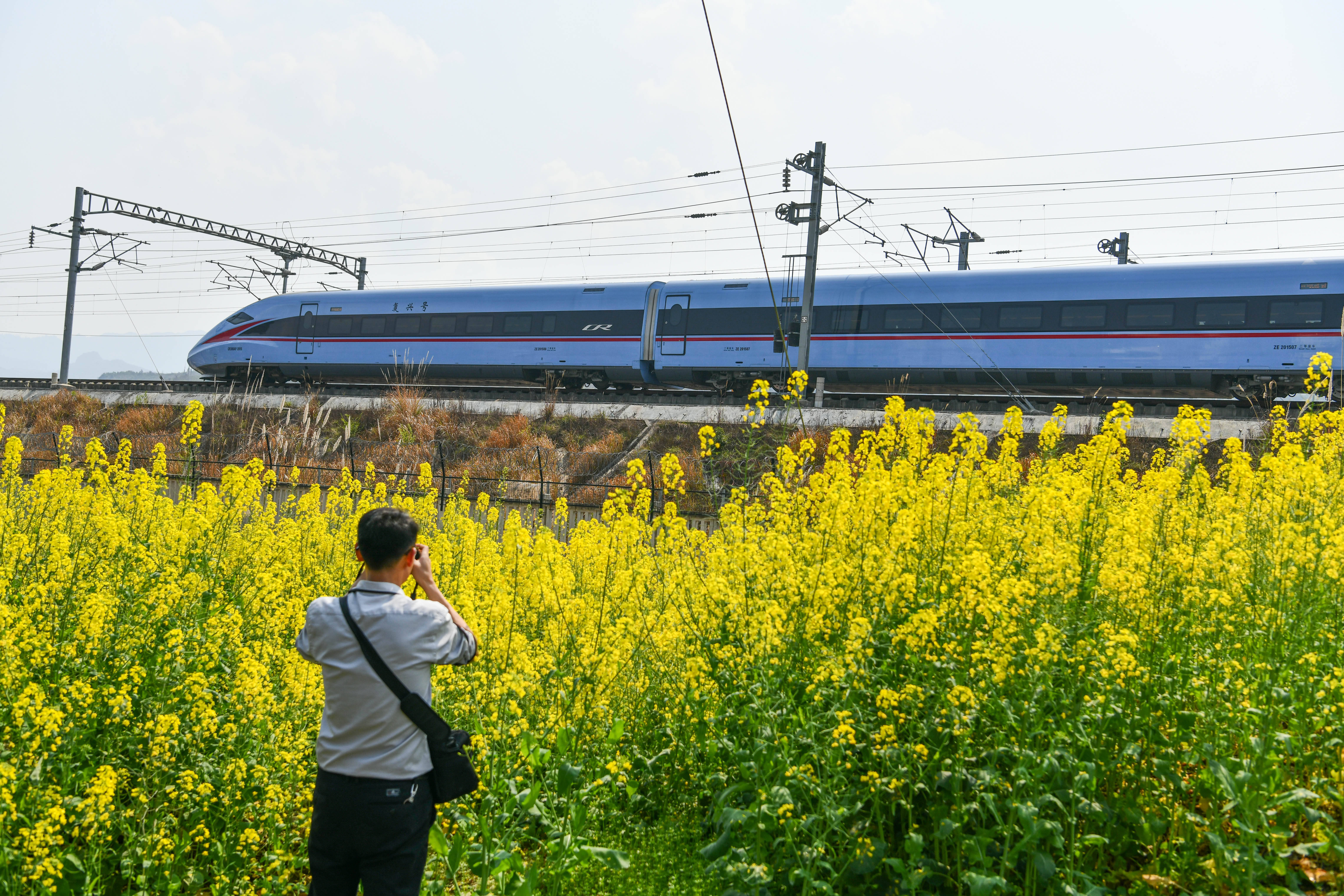 一路繁花伴旅途