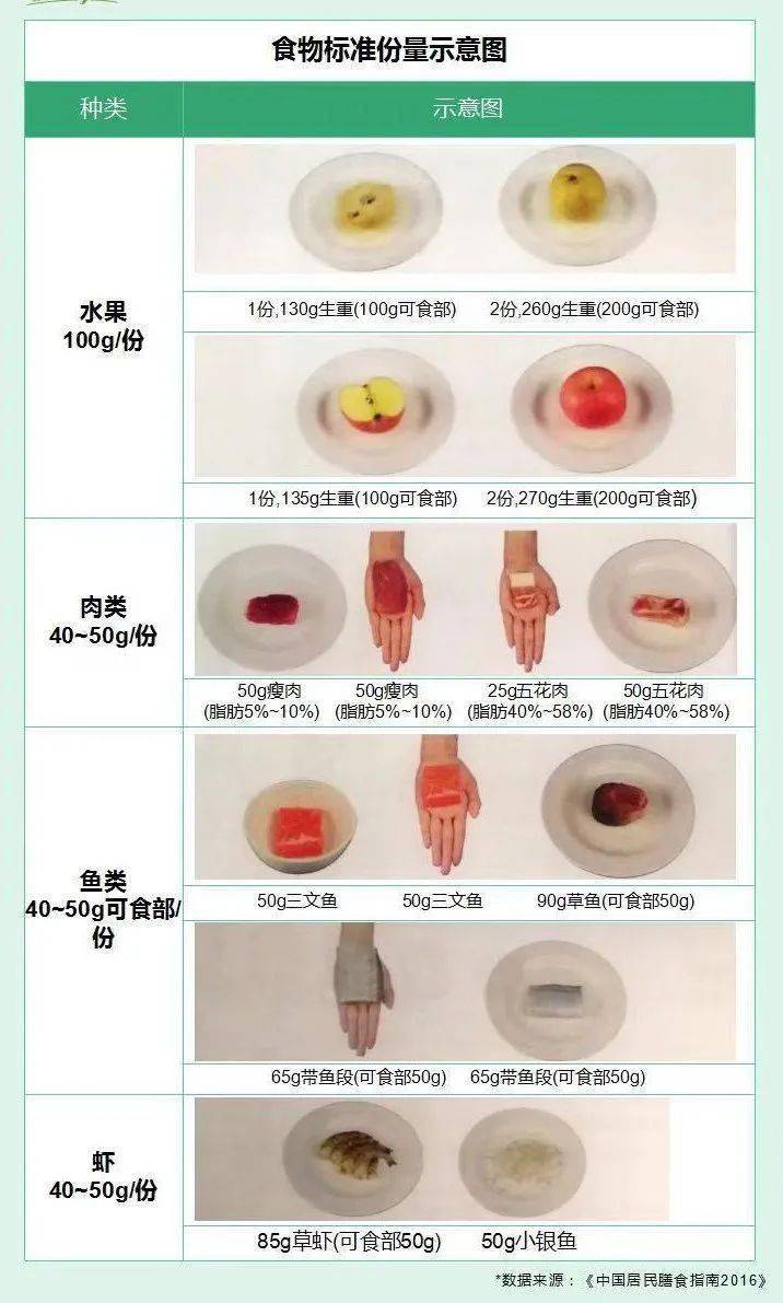 常见食物的份量和重量到底咋估计怎样吃才健康这回有标准答案了