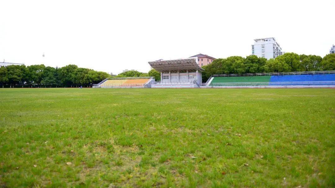 校园风怎样读懂蟠龙千年历史徐泾中学条理清晰