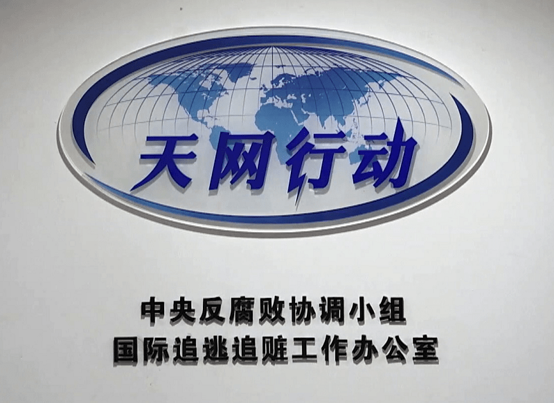 "天网2021"行动正式启动!