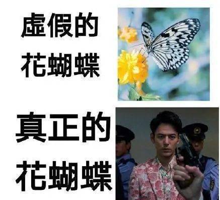 他不仅仅是人见人爱的"东京花蝴蝶"