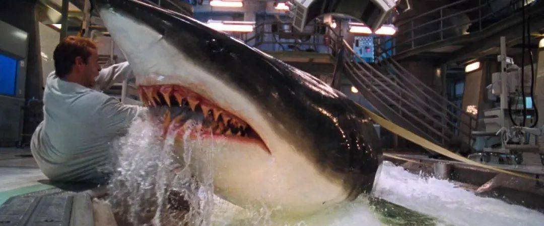 胆小勿入那一年的深海狂鲨是你的童年阴影吗