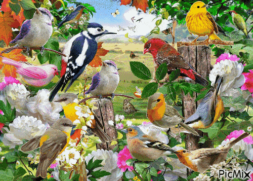 500_357gif 动态图 动图