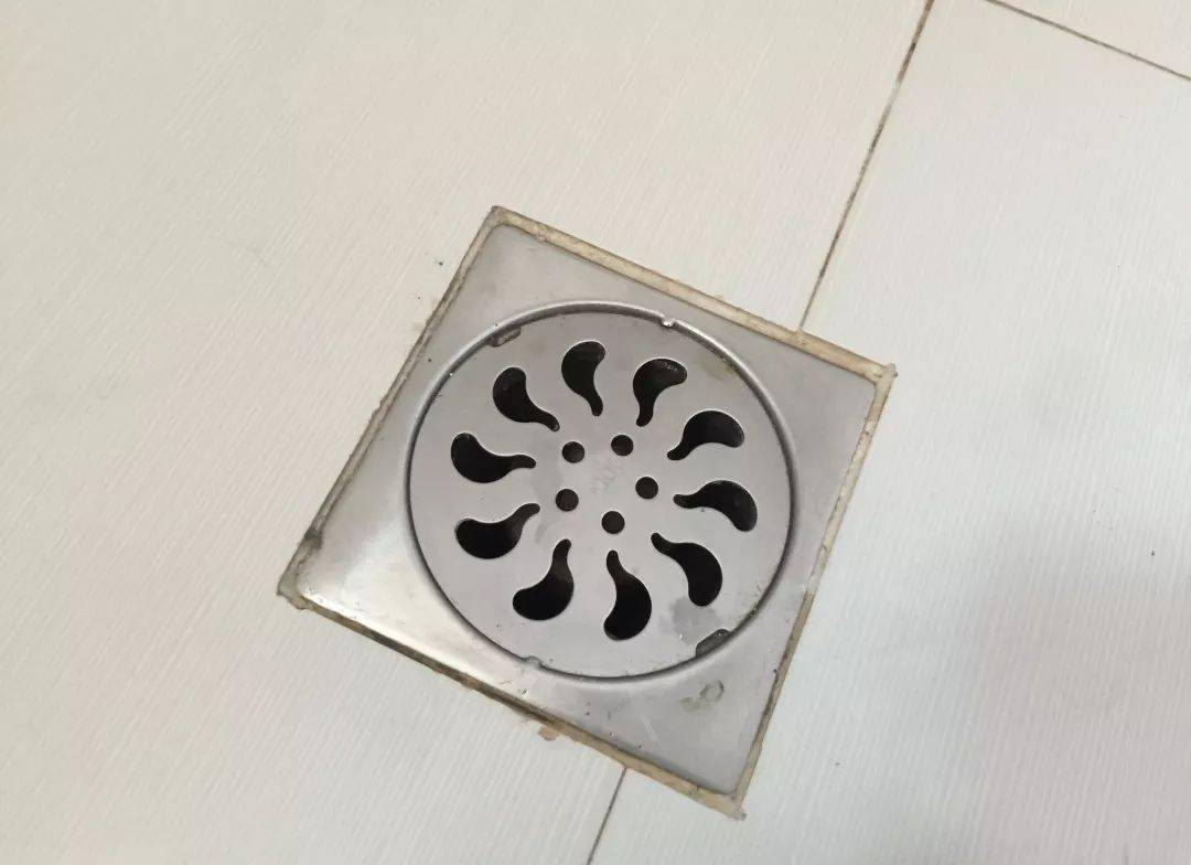 地漏防鼠防鼠防虫防自臭下水道内芯那么,如果鼠已"登堂入室",如何灭之