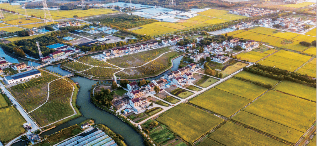 青龙乡镇GDP_凯青龙志图片(2)