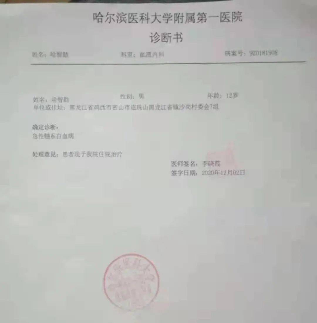 家住连珠山镇沙岗村七组的哈智勋,今年12岁,就读于第三中学初二一班.