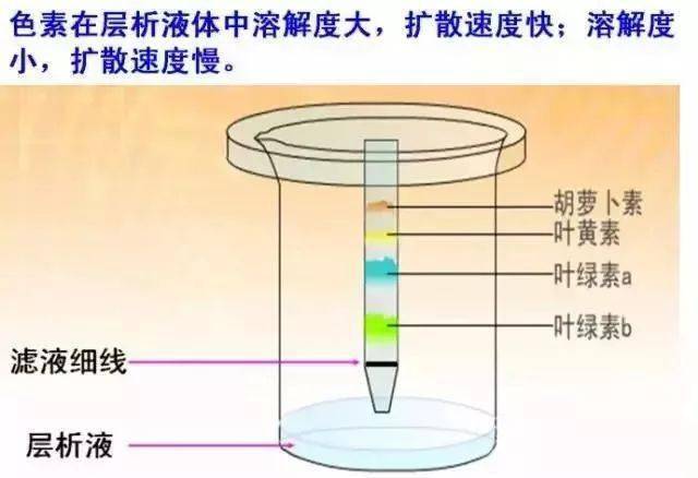 给皮球打气是利用了什么的原理_皮球是什么样子的图片