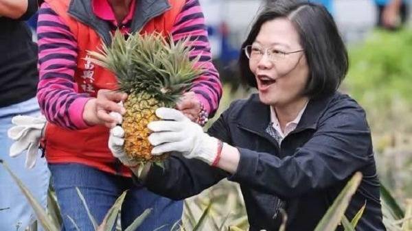 大陆3月起禁止进口台湾菠萝 蔡英文本人回应了 凤梨