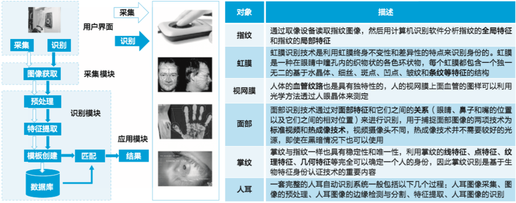 文章配图-3