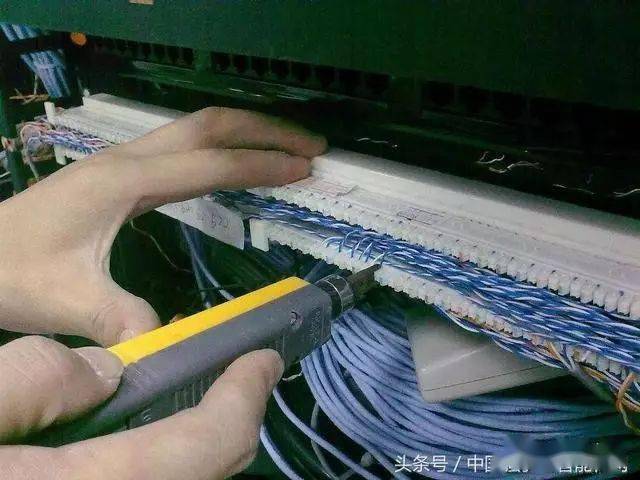 双绞线端接工具(1) 剥线钳(2) 压线工具(3) 打线工具(4) 手掌保