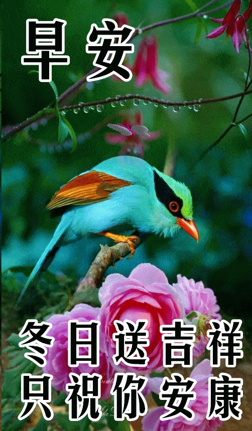 早安祝福美图早上好问候句子