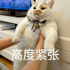 吃什么能变傻 5ed66c85a8564964a31f2b6042de24f5.png