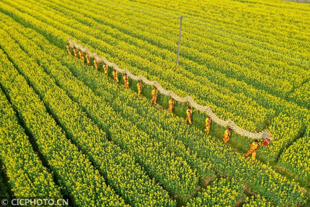 衡阳稻草龙图片