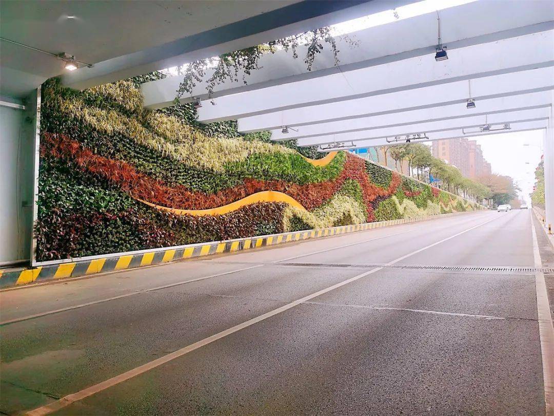 佛平隧道立体绿化项目就像一个垂直花园,通过与街边景观的场景融合
