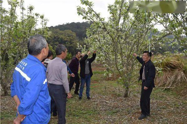 封开县多少人口_封开县江口中学(2)