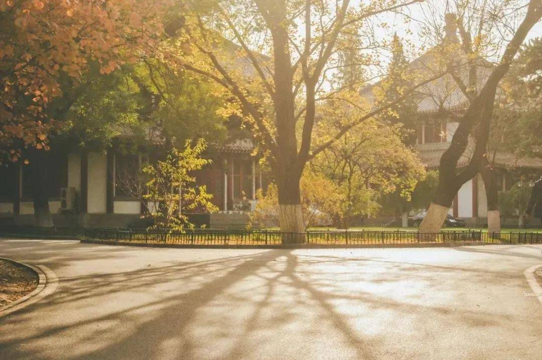 北京园林公司排名_北京园林博物馆图片(3)