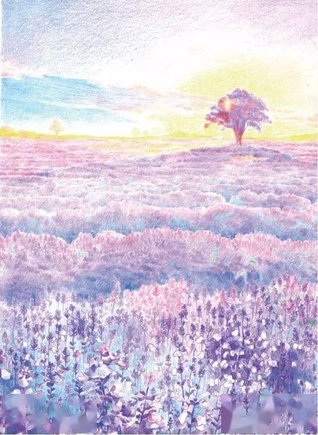 【风景教程】用彩铅为自己画一座薰衣草庄园,美极了!