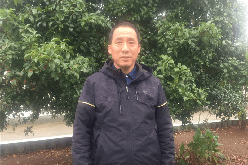 泗阳人口多少2021_泗阳膘鸡