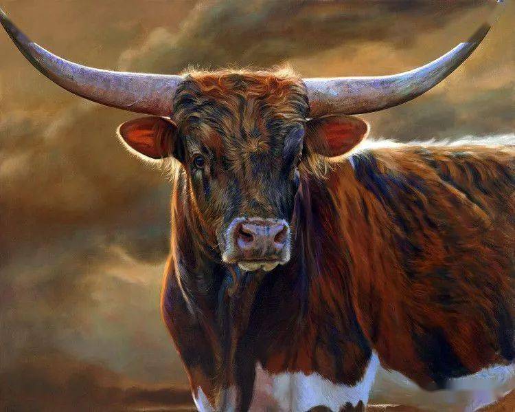 这位老外画牛真牛