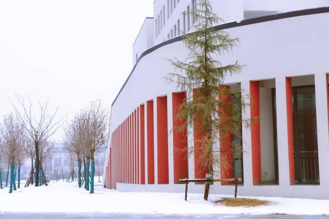 东阿一中春雪兆瑞新校增辉