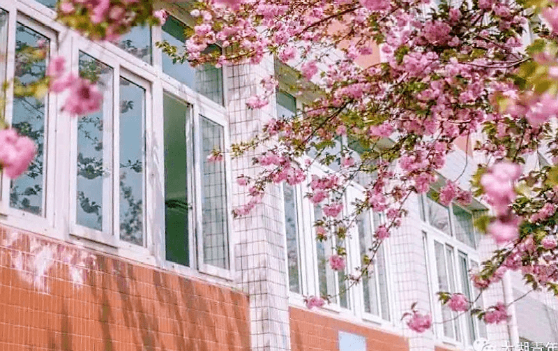 雪花灯猜成语_看图猜成语(2)