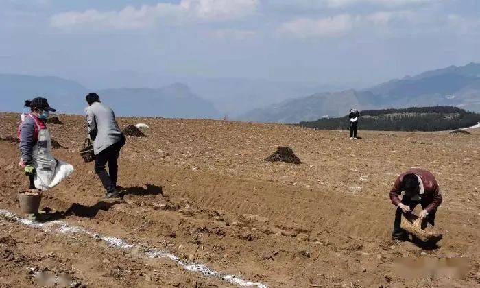 副市长朱家应参加了现场会.