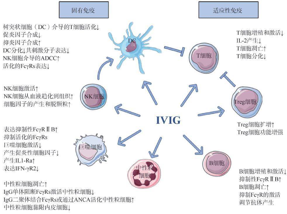 汪道文团队向世界贡献暴发性心肌炎救治之中国方案