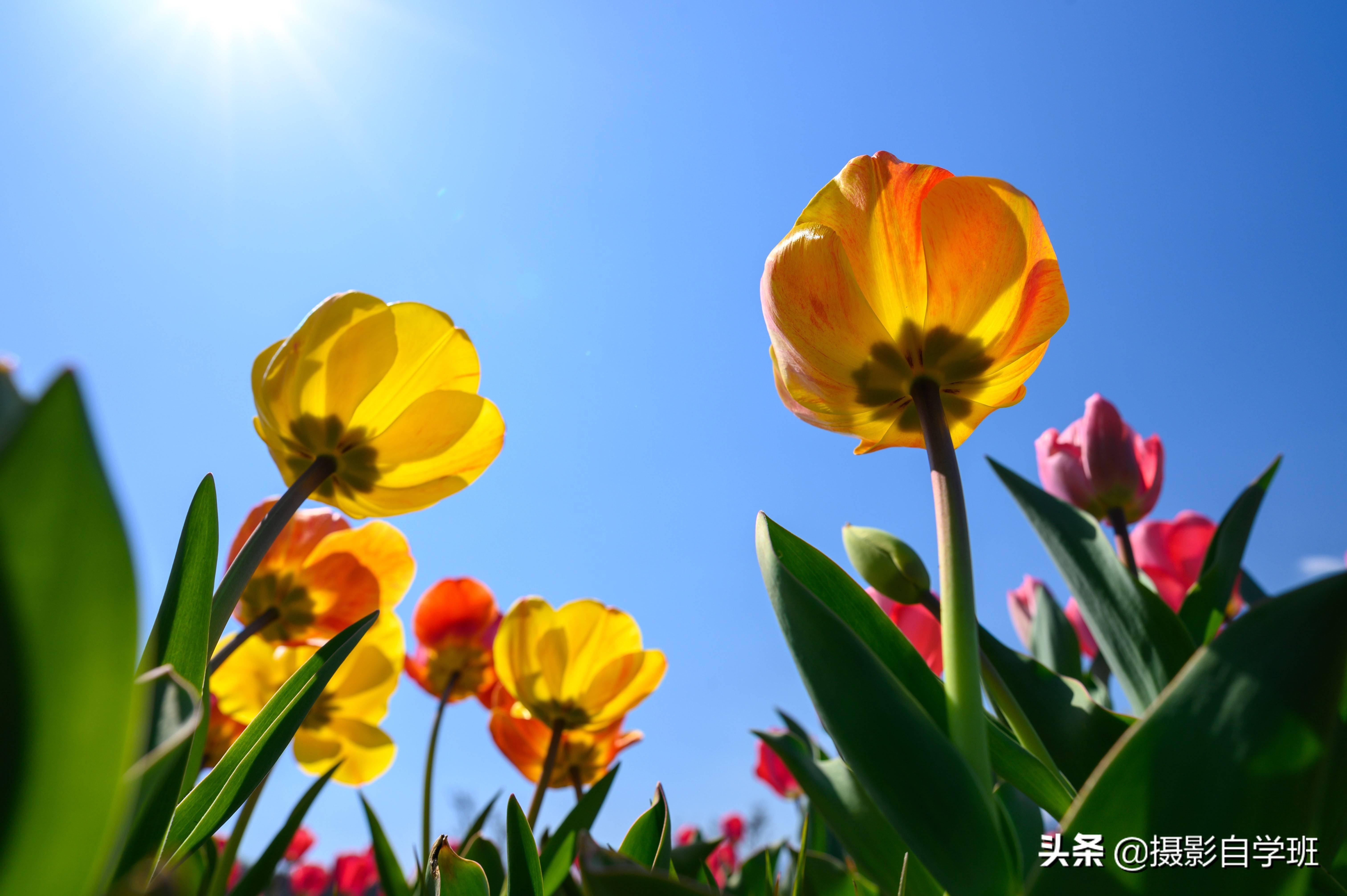 e5cdcd783f65415c8d10603147786fc7.jpeg