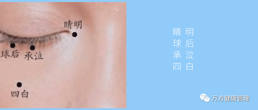 11.眼蒂位于目内眦上方和鼻梁之间,绿豆大小的凸起.