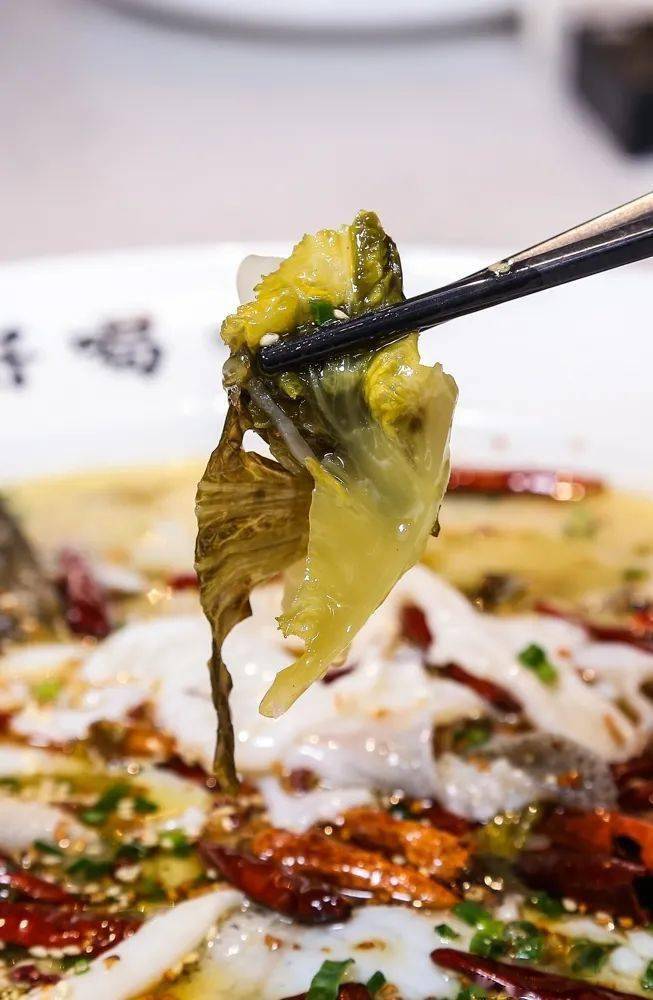 内含新品▎江渔儿老坛酸菜鲈鱼活鱼现制鱼好吃汤更好喝