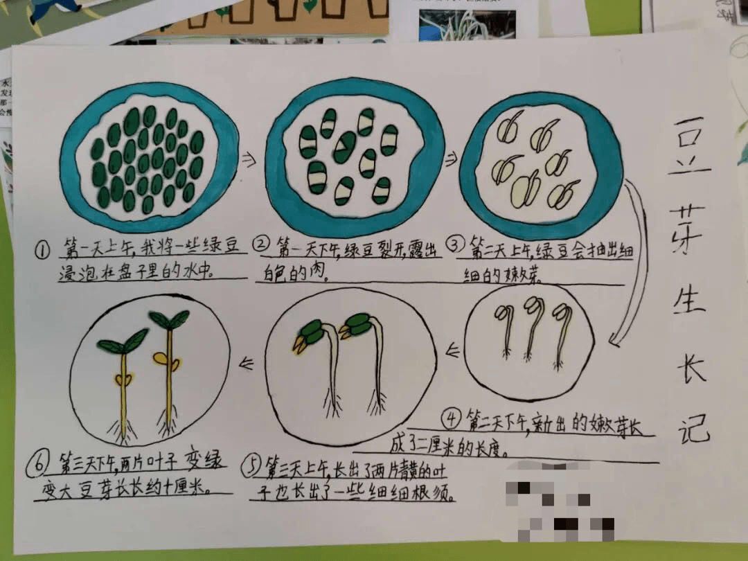 桐兴生态园研学日记图片