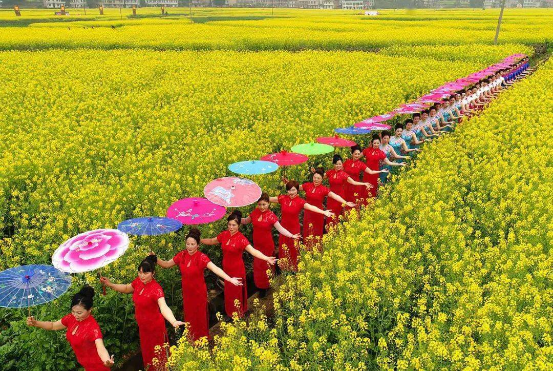 賞油菜花海品田園春色定南油菜花文化旅遊節來了